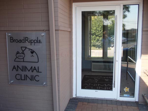 Broad Ripple Animal Photo