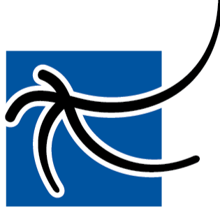 Cygnus Systems Inc.