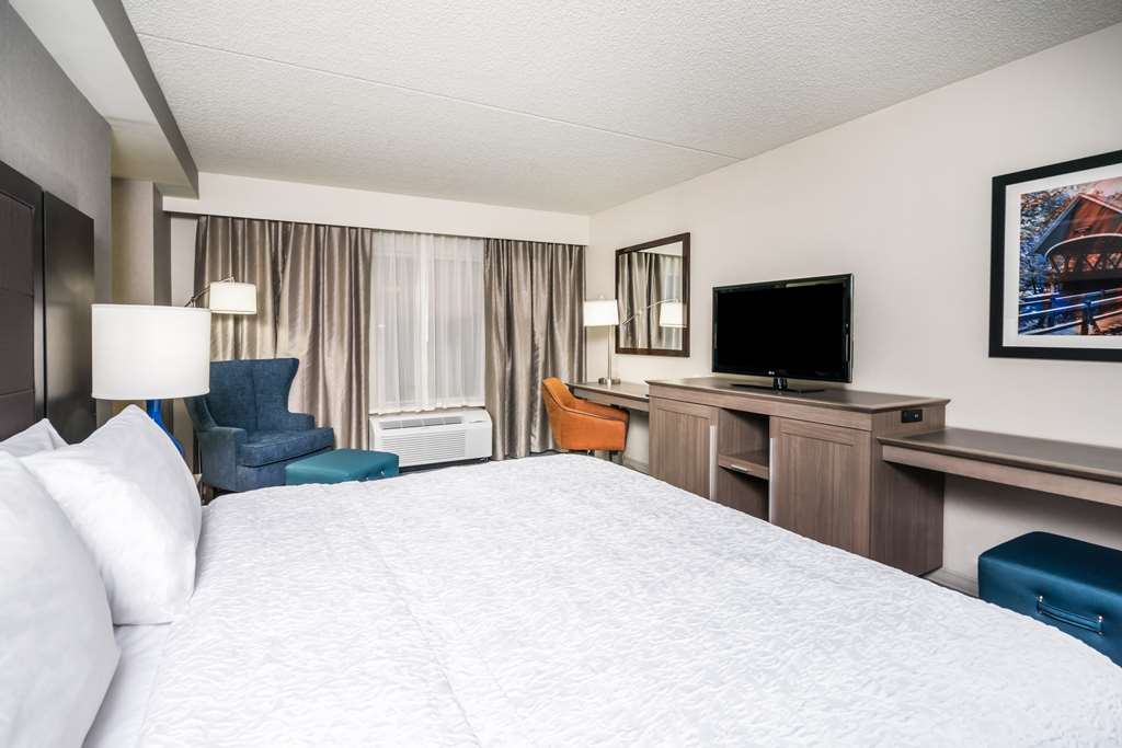 Hampton Inn Clifton Park Image