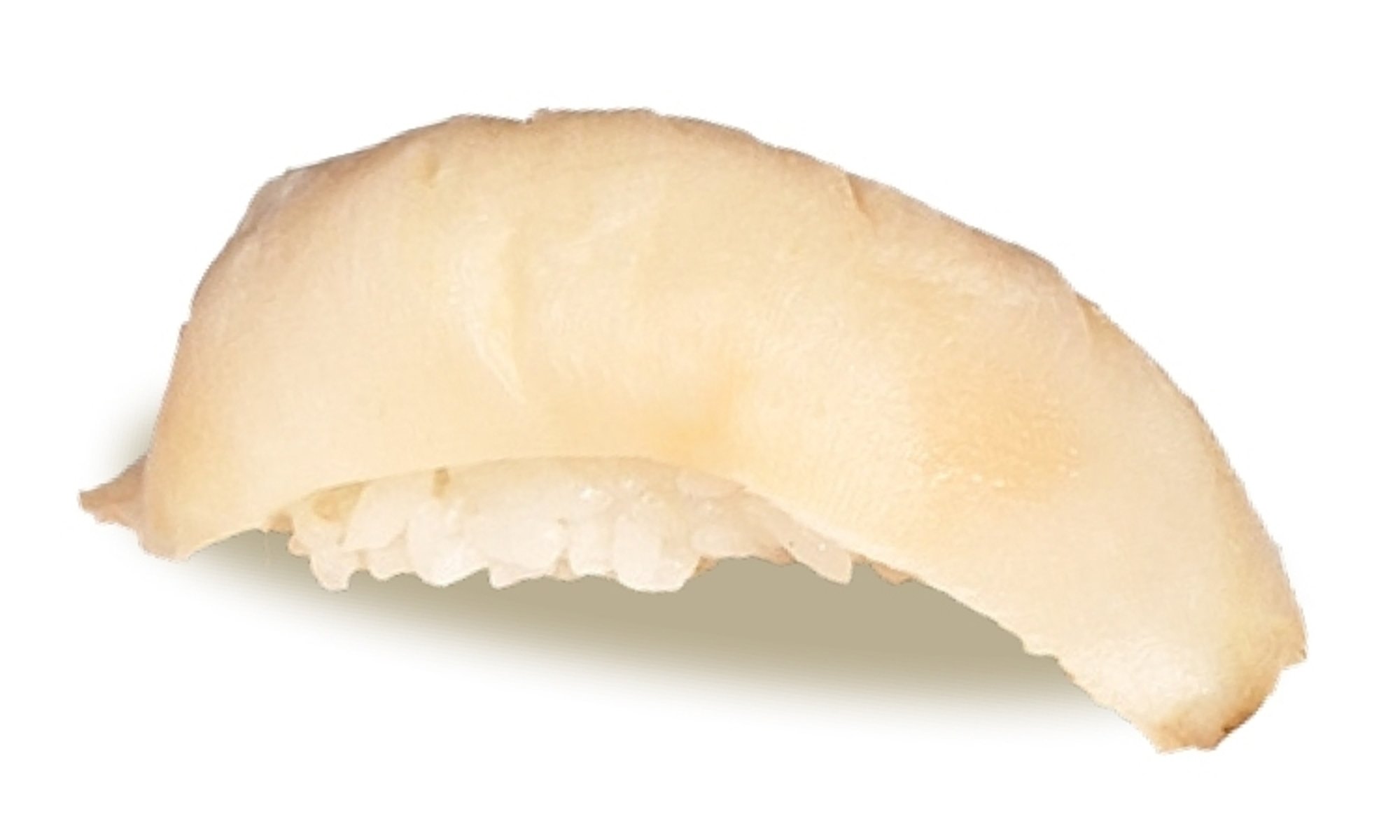 Conch