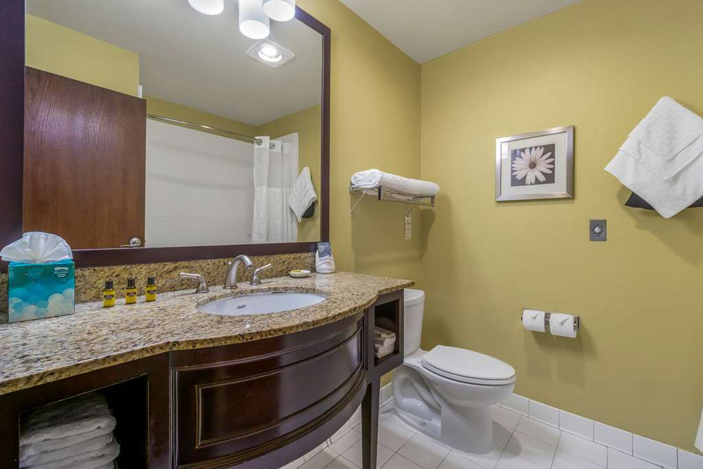 Best Western Plus Plaza by the Green Image
