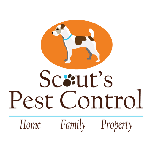 Scout's Pest Control