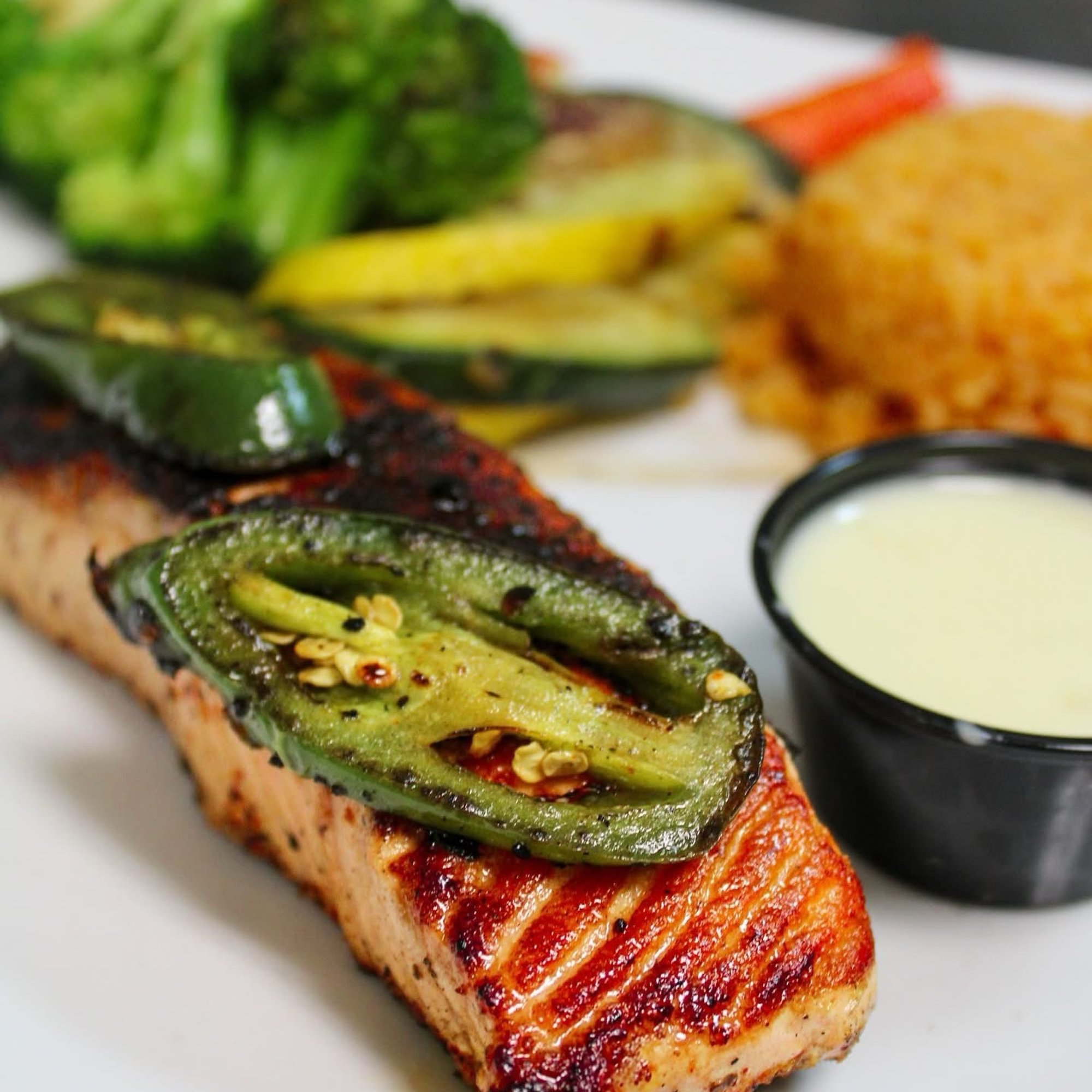 Salmon