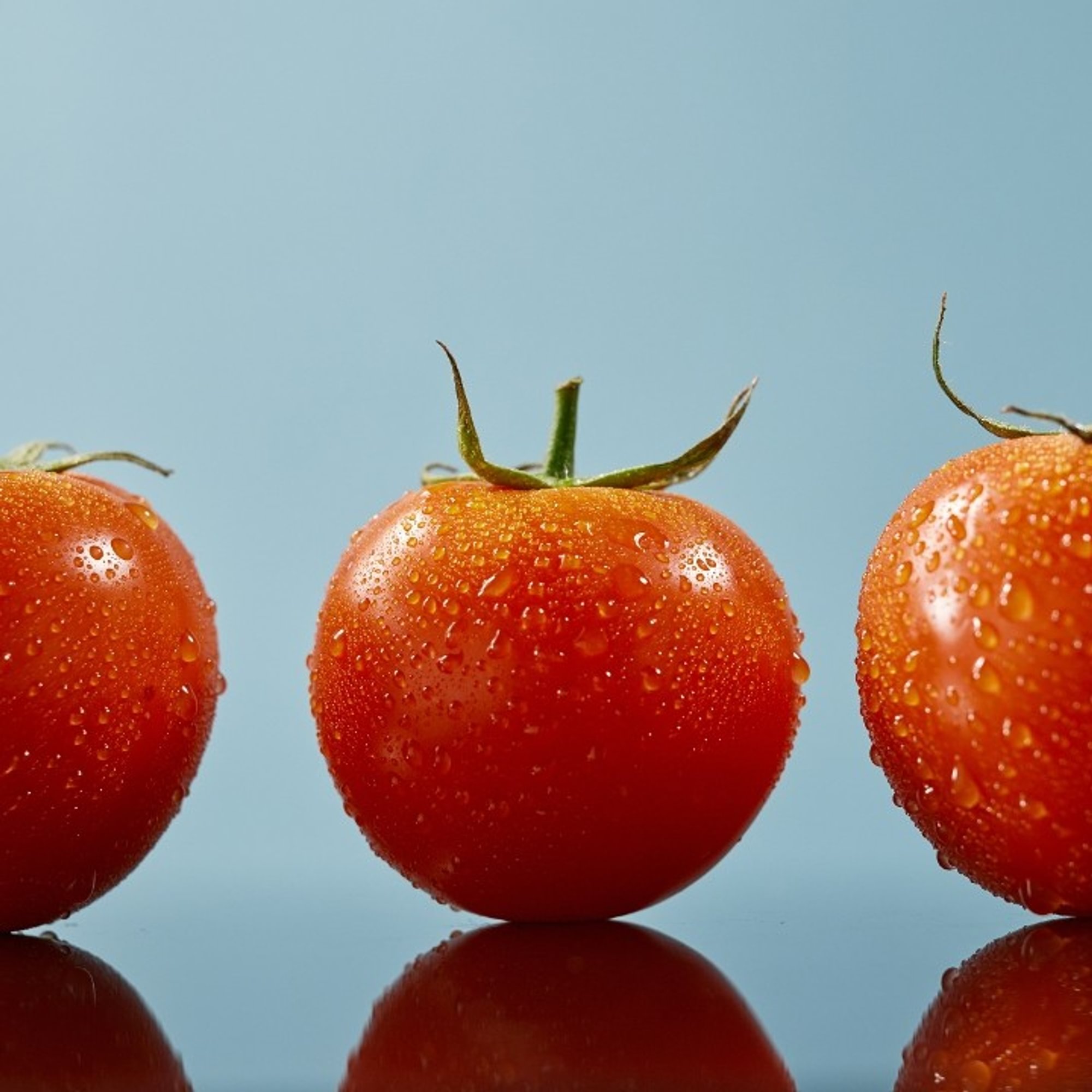 Tomato