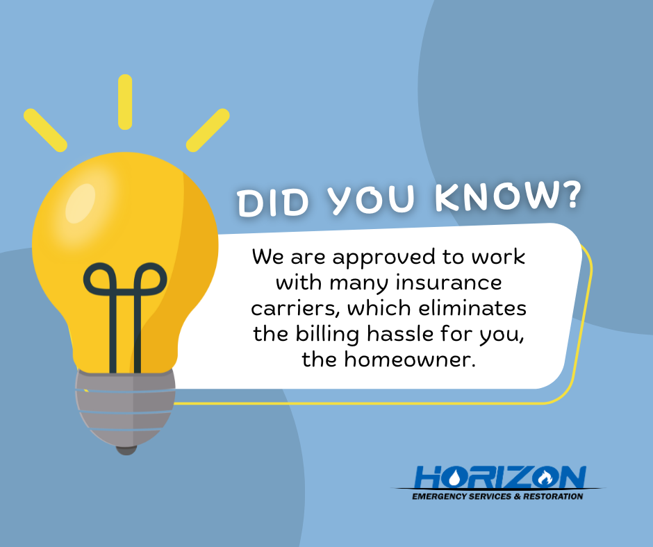 Horizon Emergency Services & Restoration Image