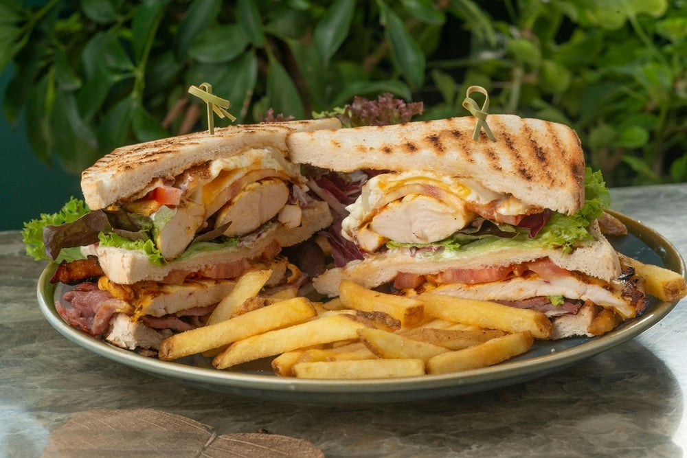 Panini Chicken Avocado