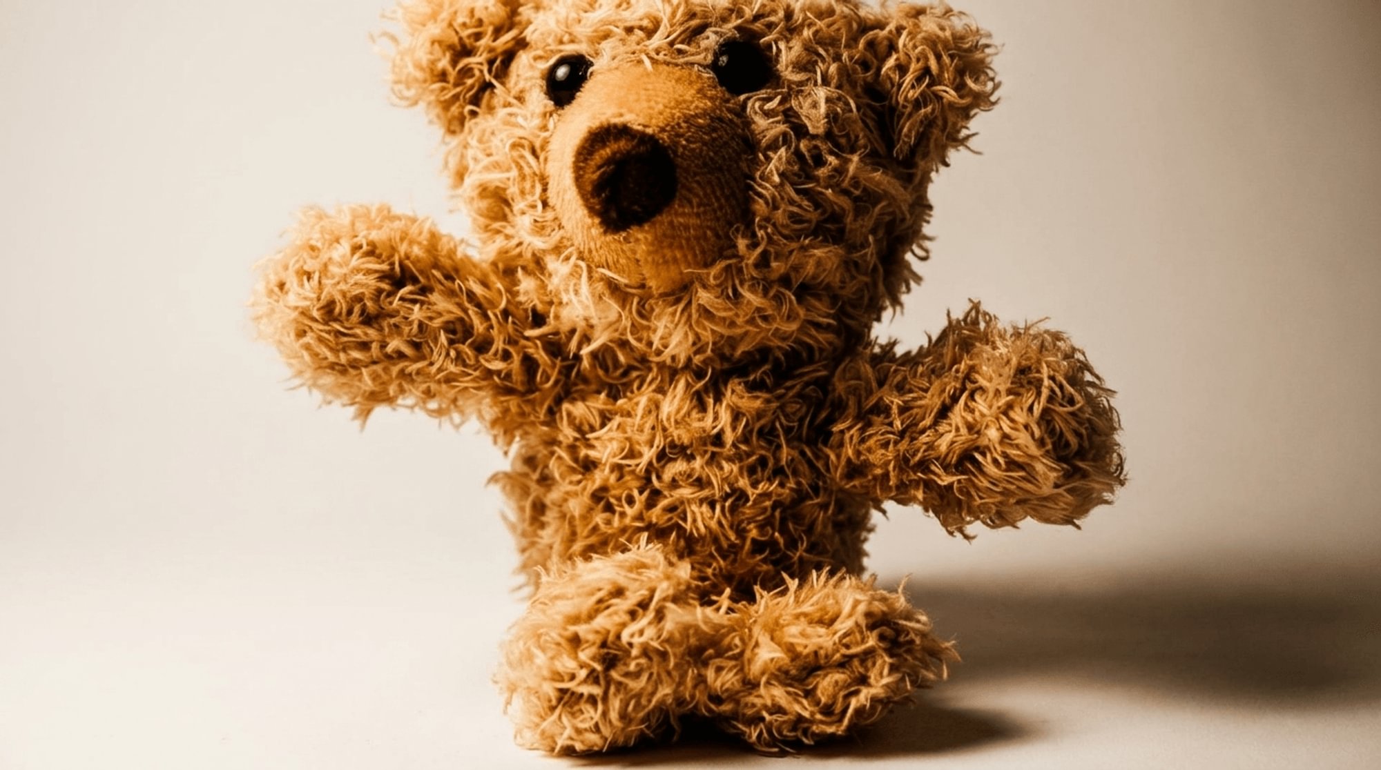 Teddy Bear