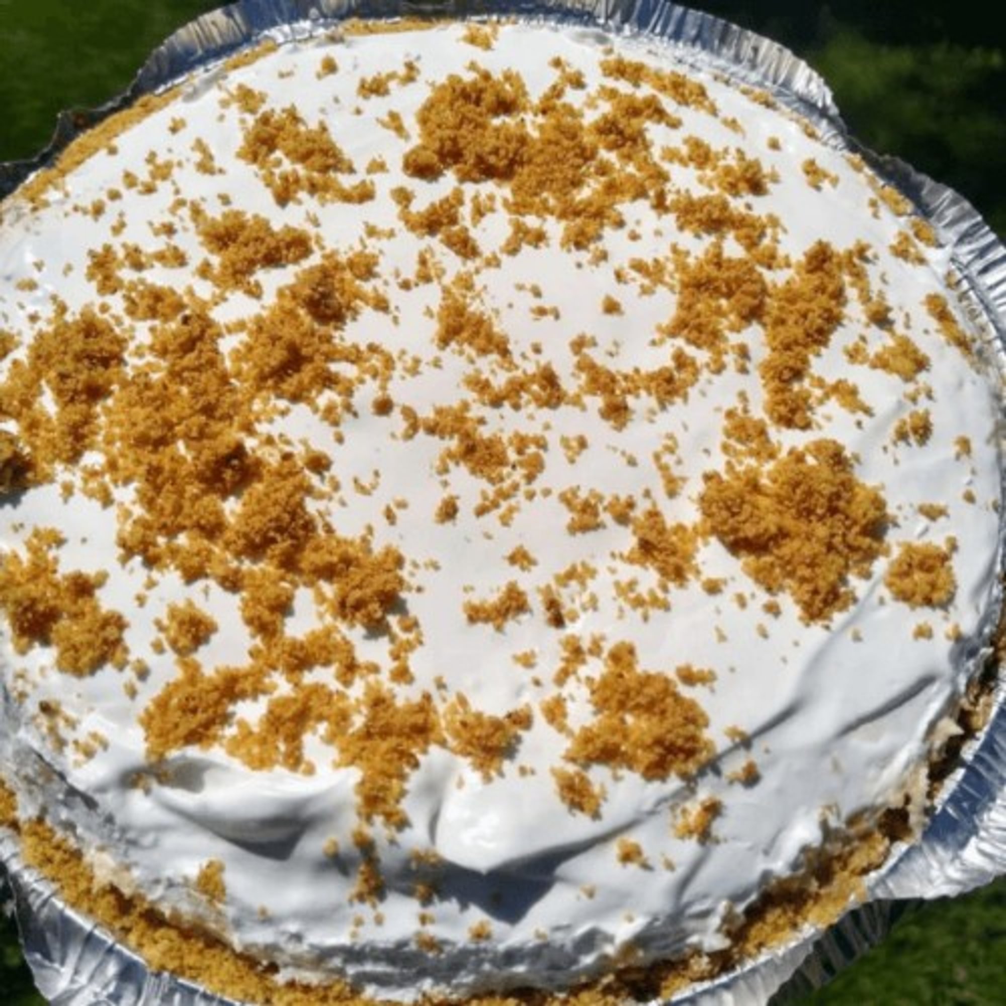 Pineapple Pie Slice