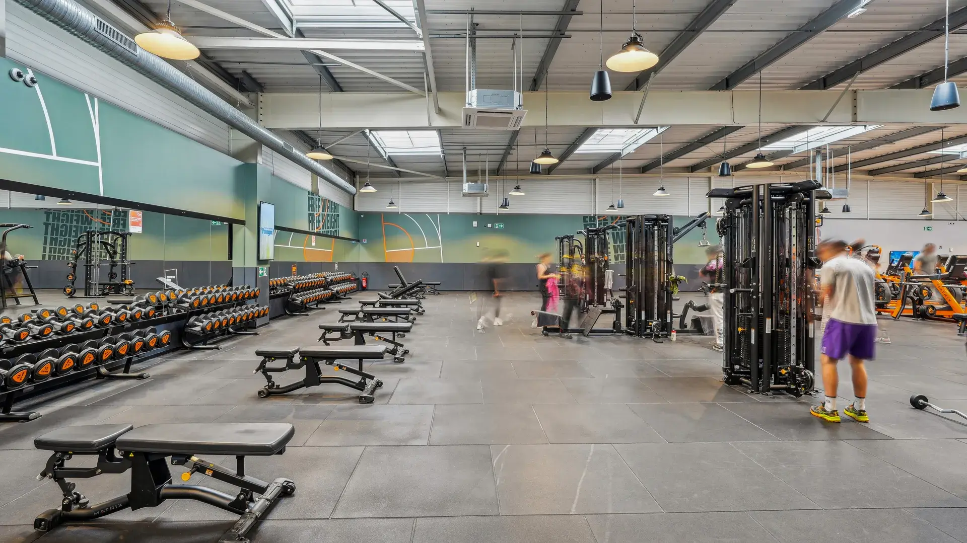 Miniature de la galerie