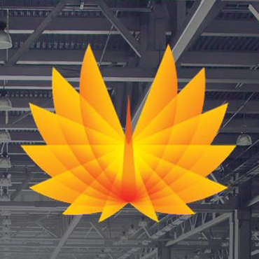 Phoenix Investors LLC