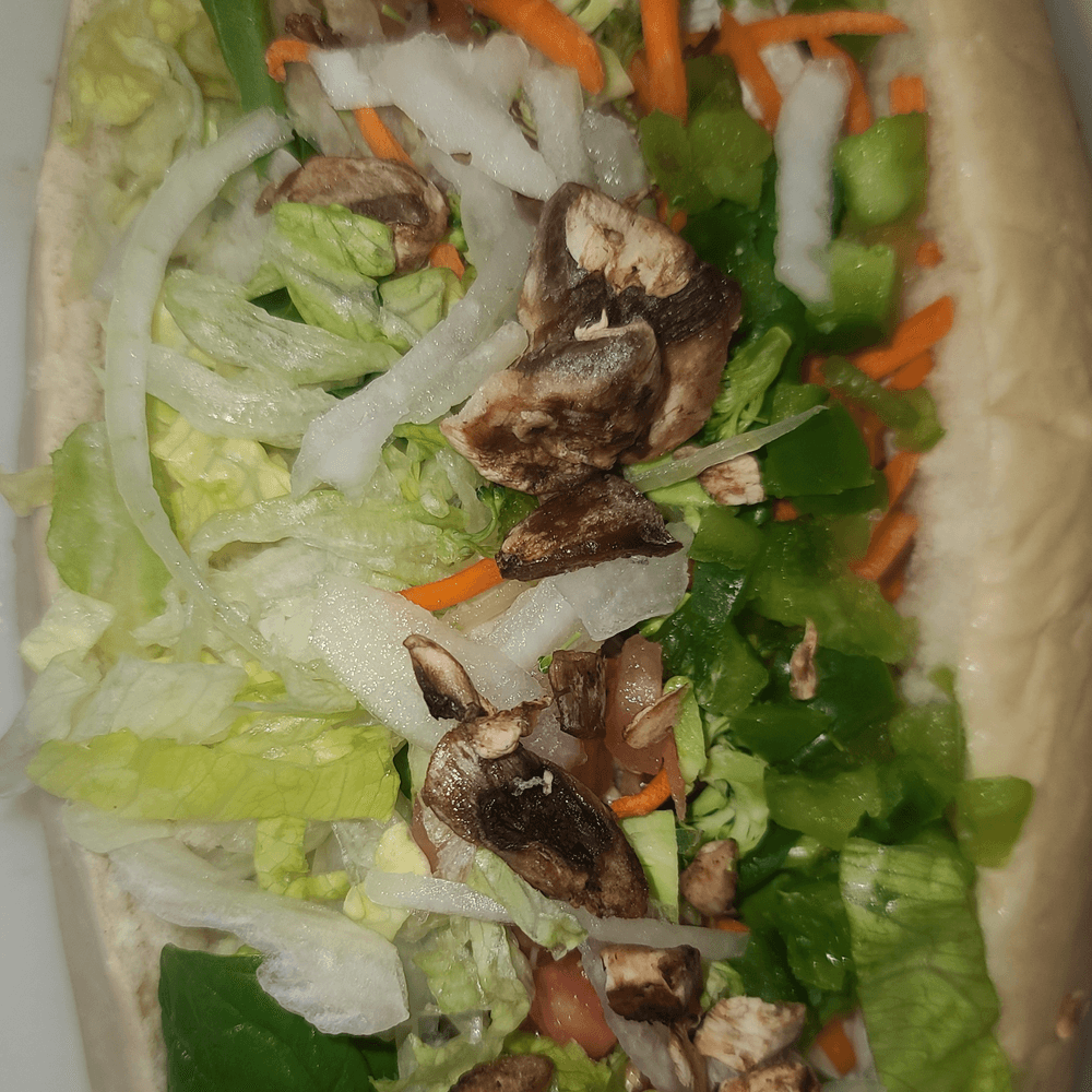 Hot Veggie Sub