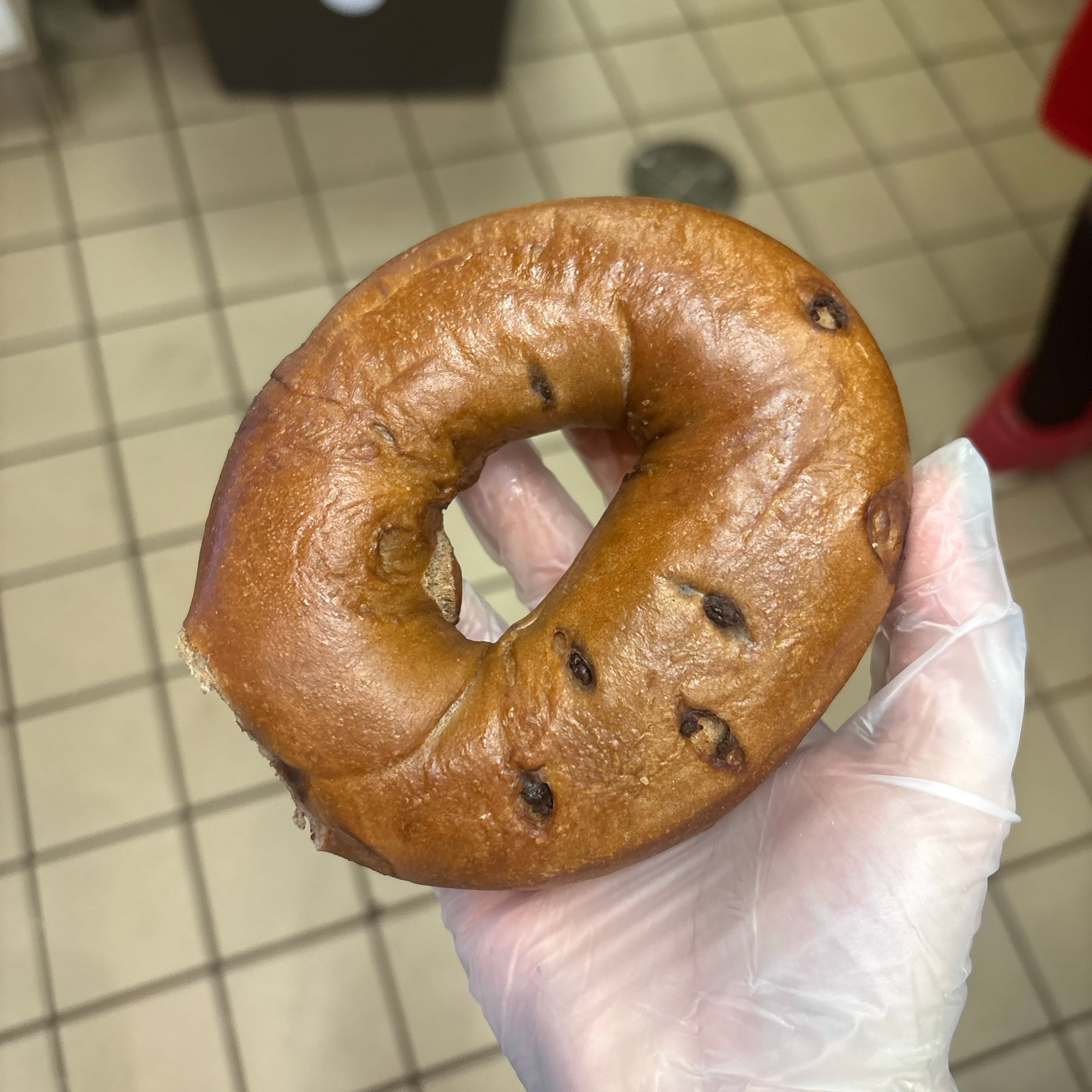 Chocolate Chip Bagel
