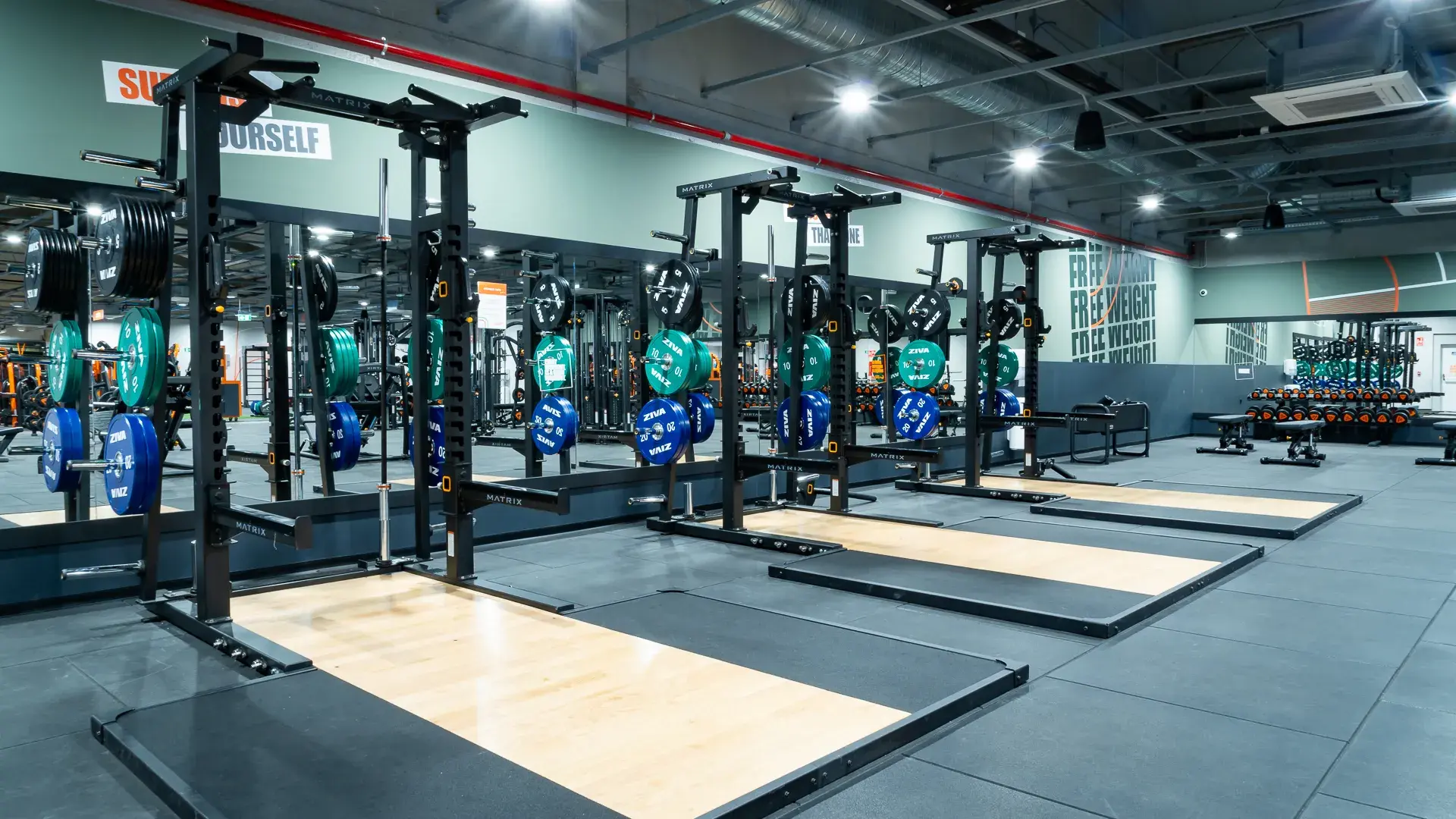 Galería de imágenes