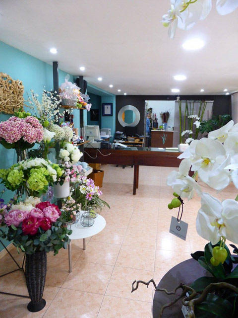 Galería en miniatura