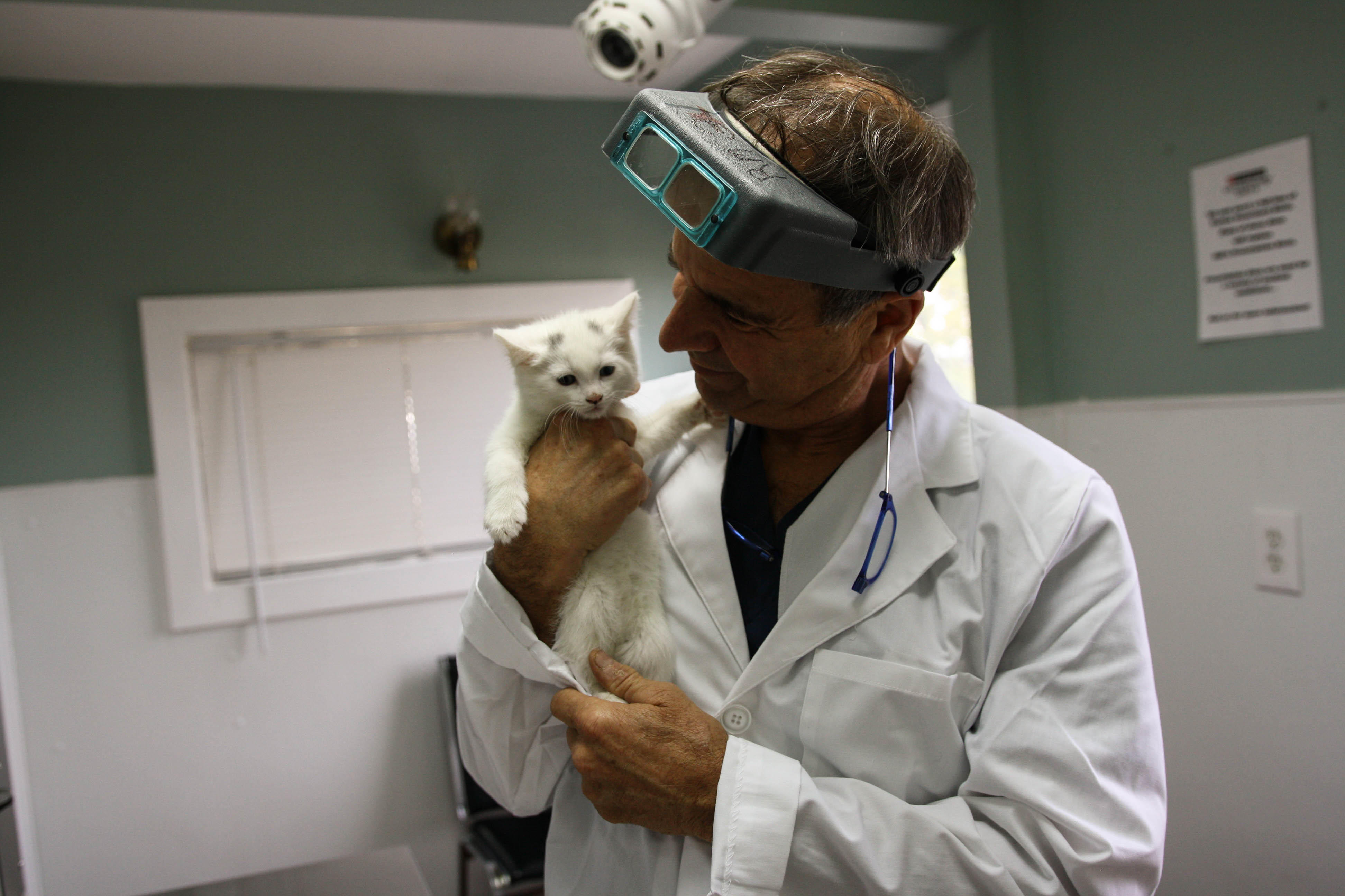 Borash Veterinary Clinic Photo