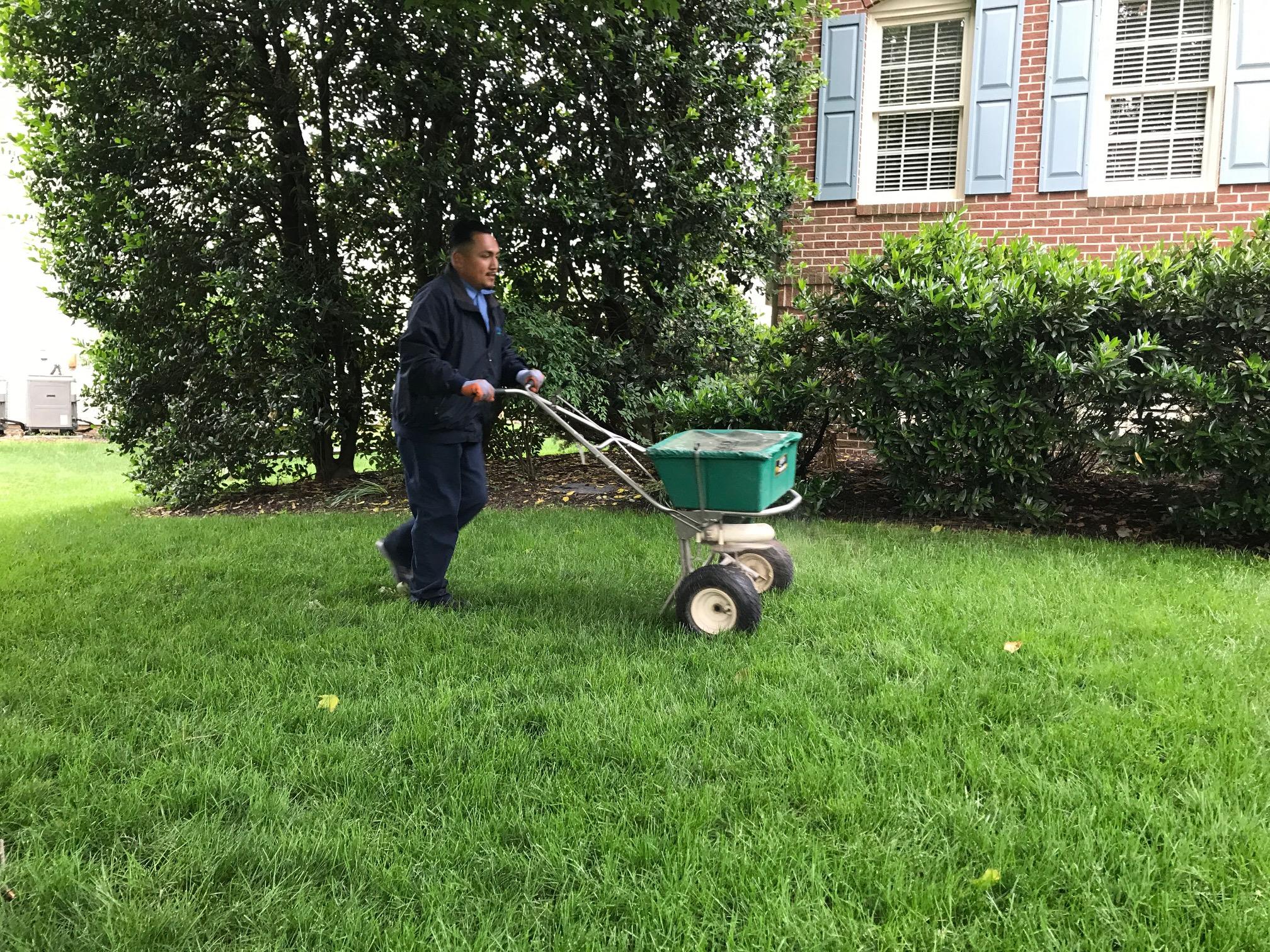 Spring-Green Lawn Care Photo