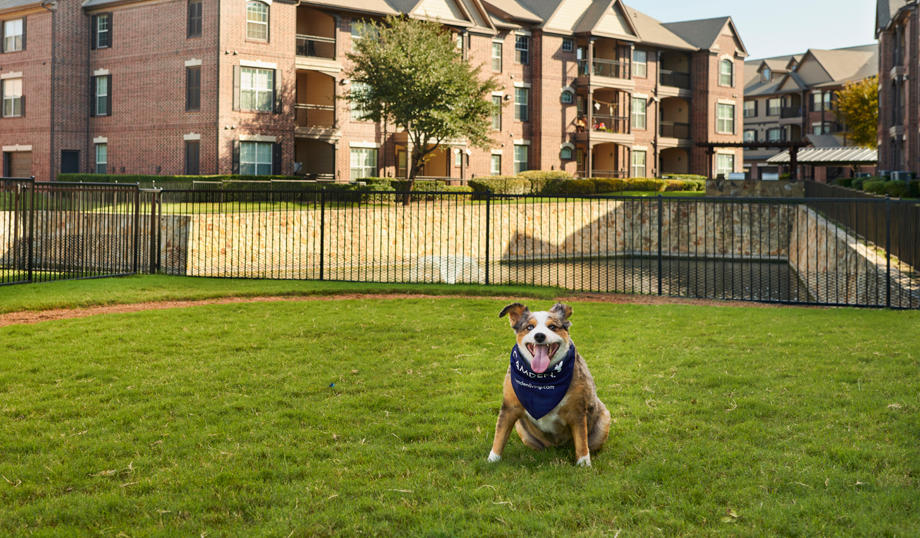 Camden Panther Creek Apartments Photo