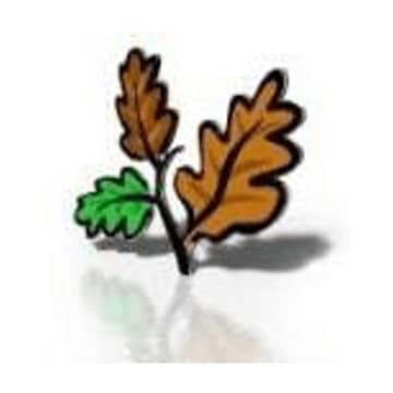 Broadleaf Tree Services logo