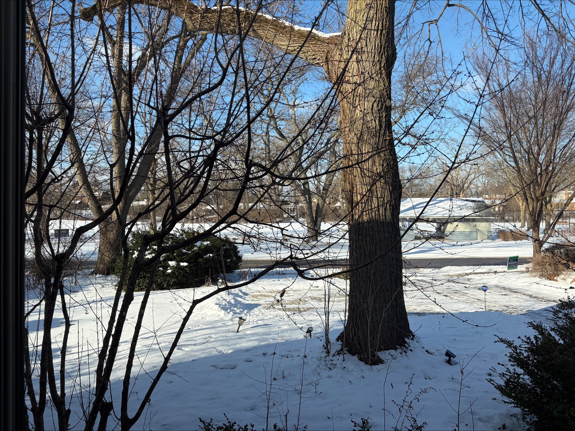 Fein Legal Solutions LLC Image