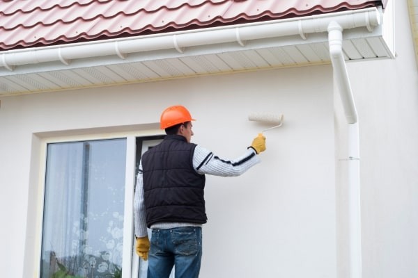 Transform Your Space with Professional Painting Services