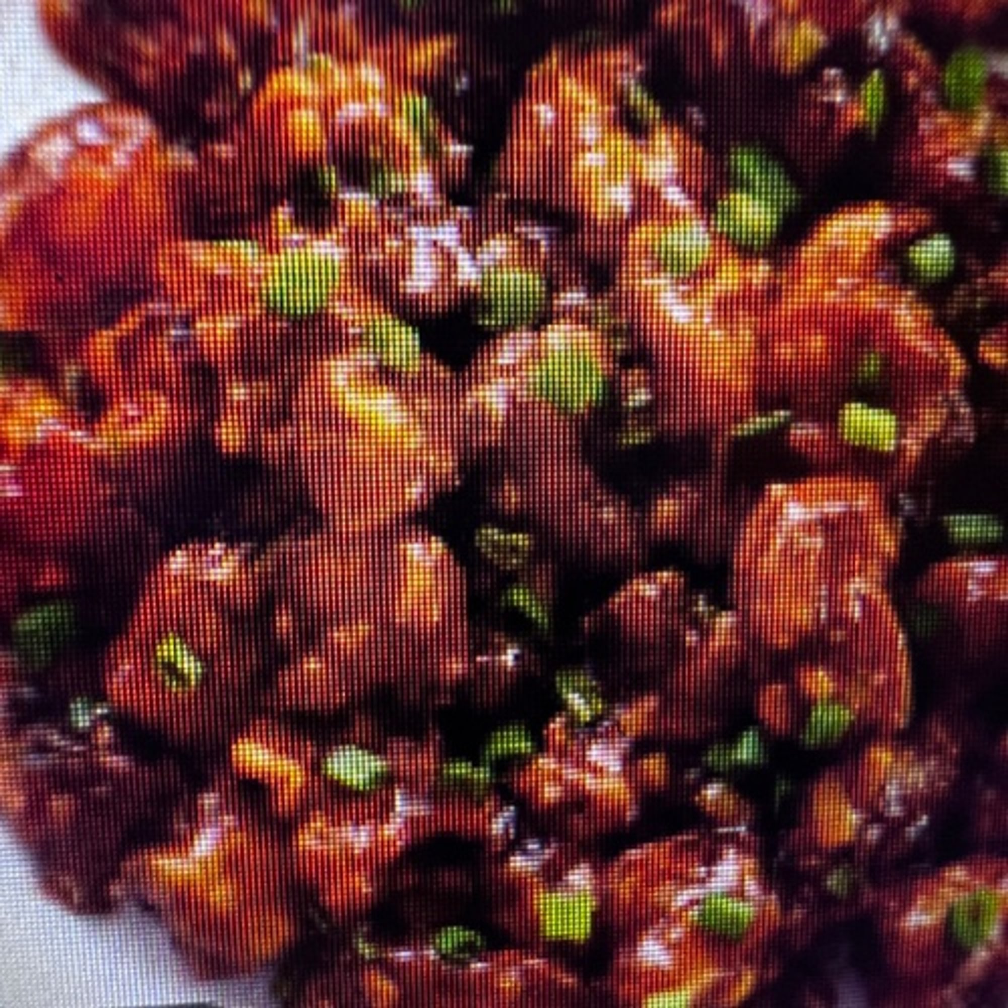 Gobhi Manchurian (V, VEG)