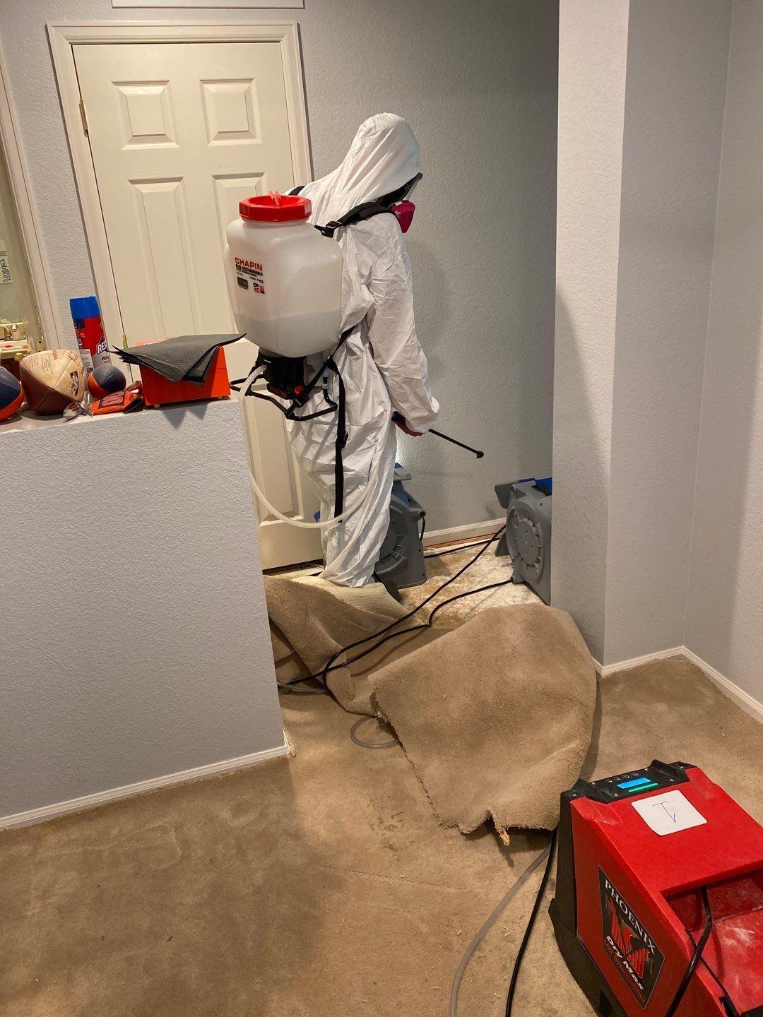 Anatom Restoration Image