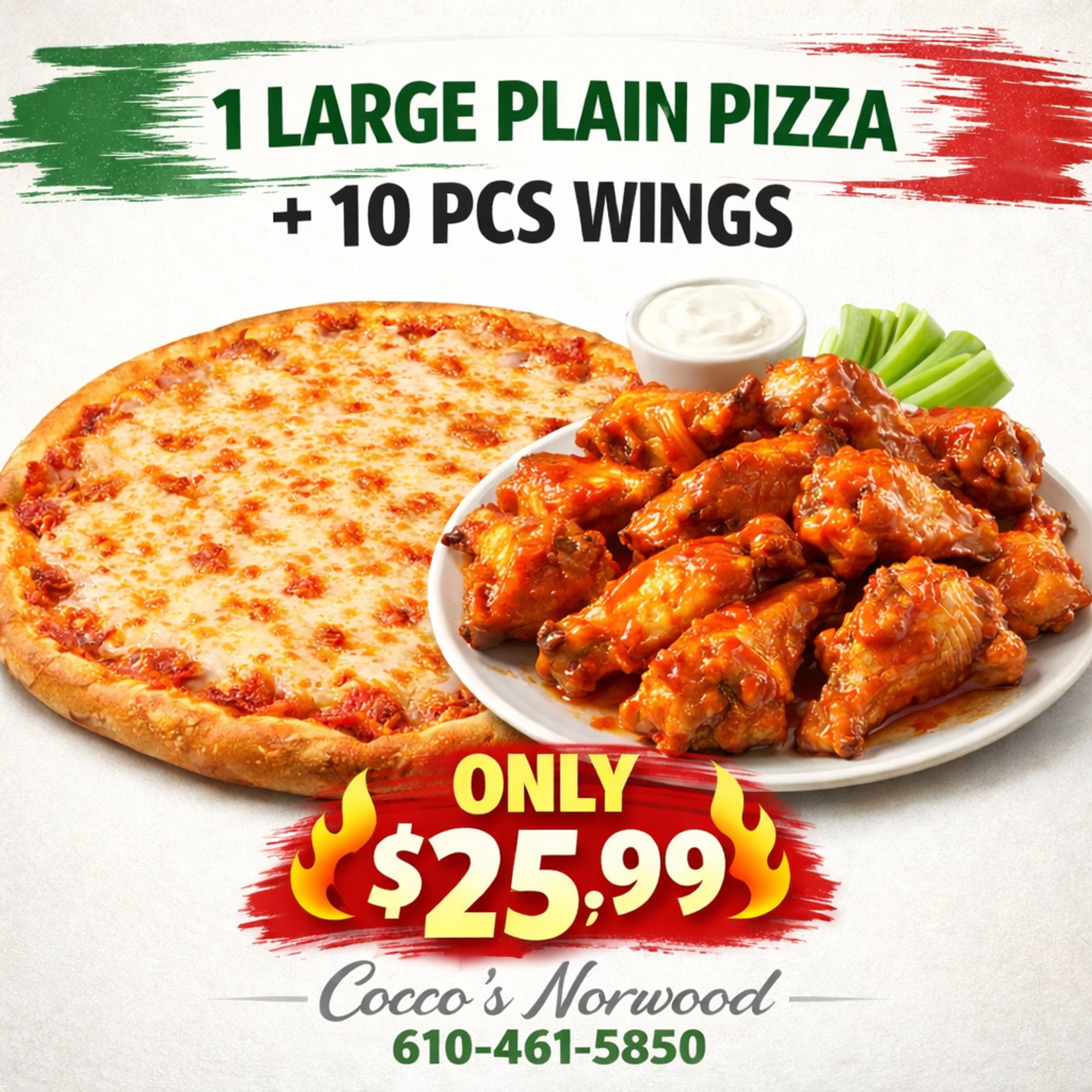 1 Large Cheese Pizza & 10 Wings