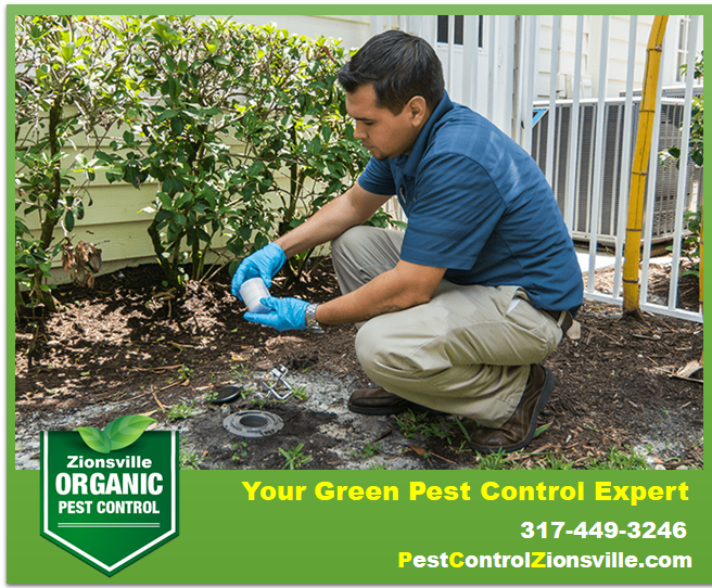 Pest Control Zionsville Photo