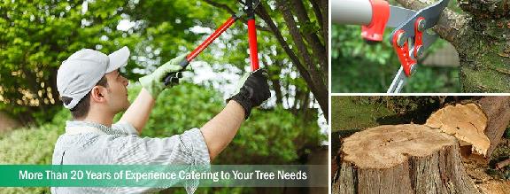 Lobo Tree Service Photo