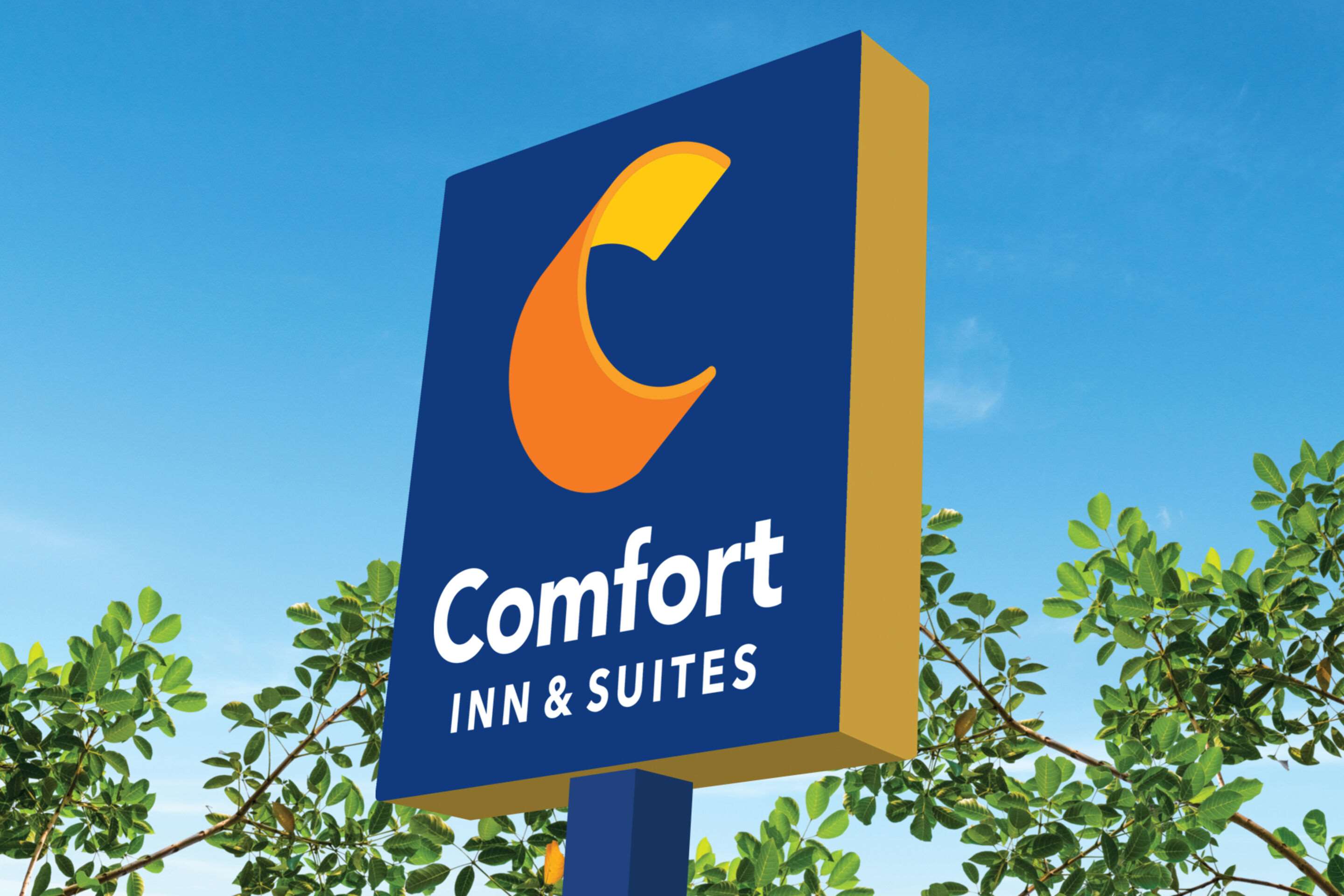 Comfort Inn & Suites Downtown Tacoma Photo