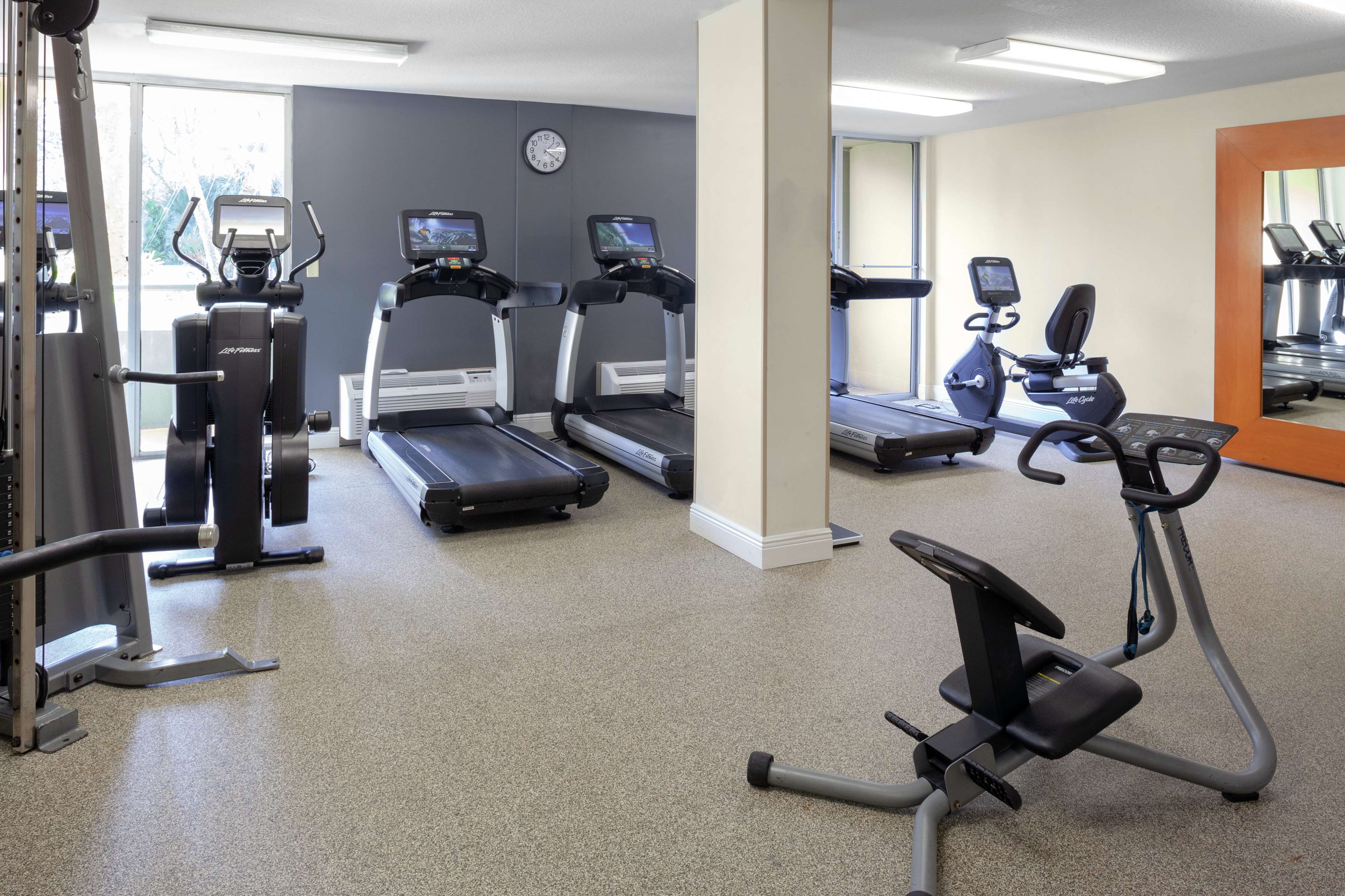 Health club  fitness center  gym