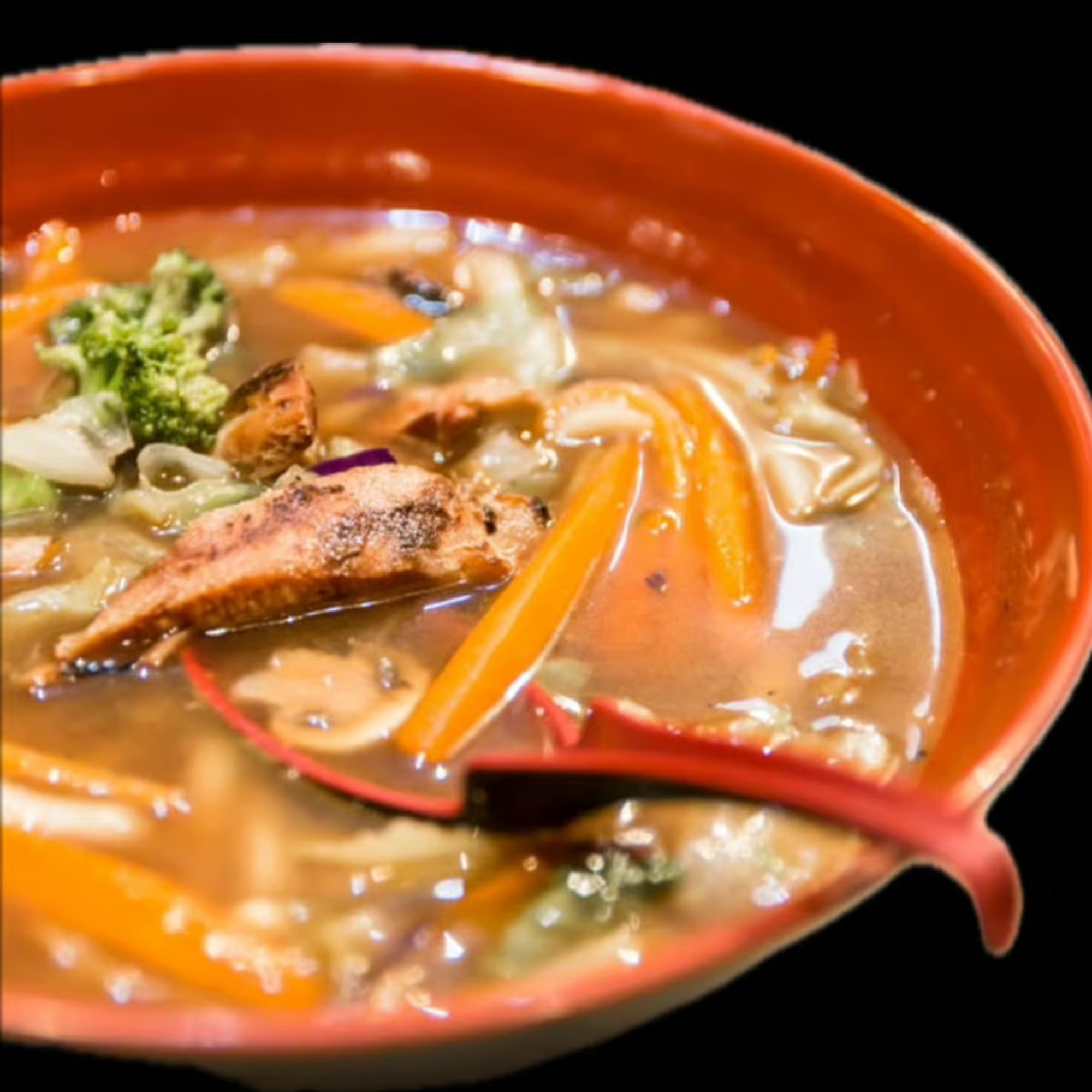 Chicken Udon Soup