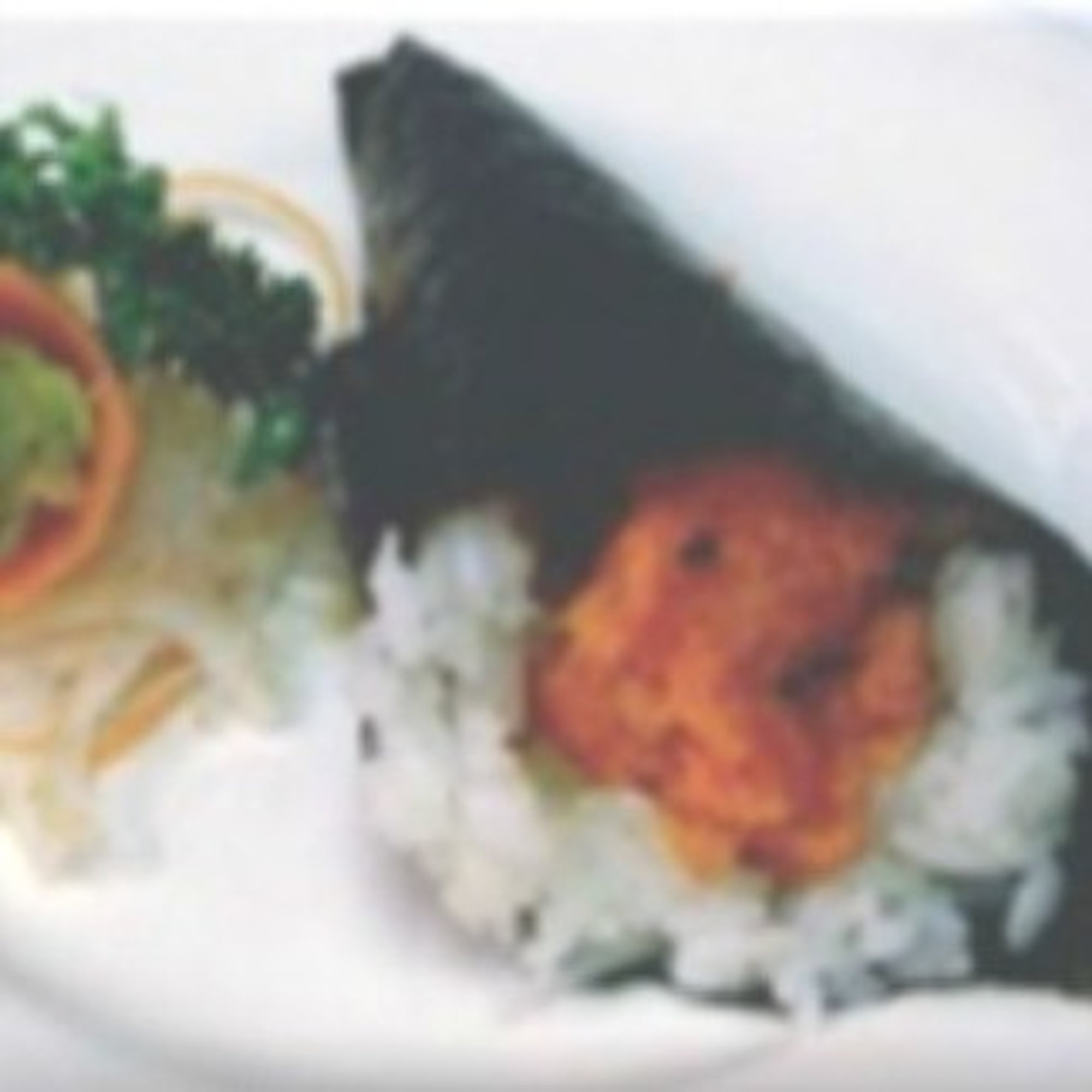 California Hand Roll