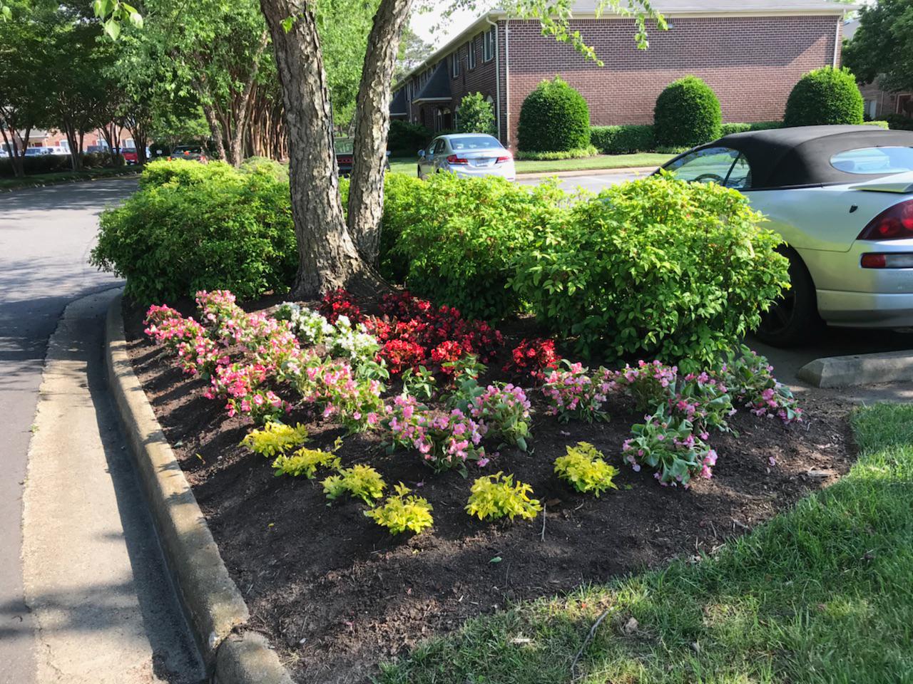 Botanical Landscape Management Photo