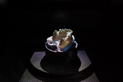 Gallery thumbnail