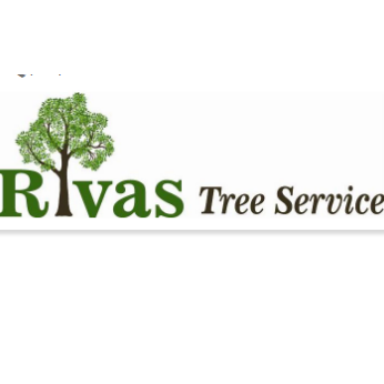 Rivas Tree Service Photo