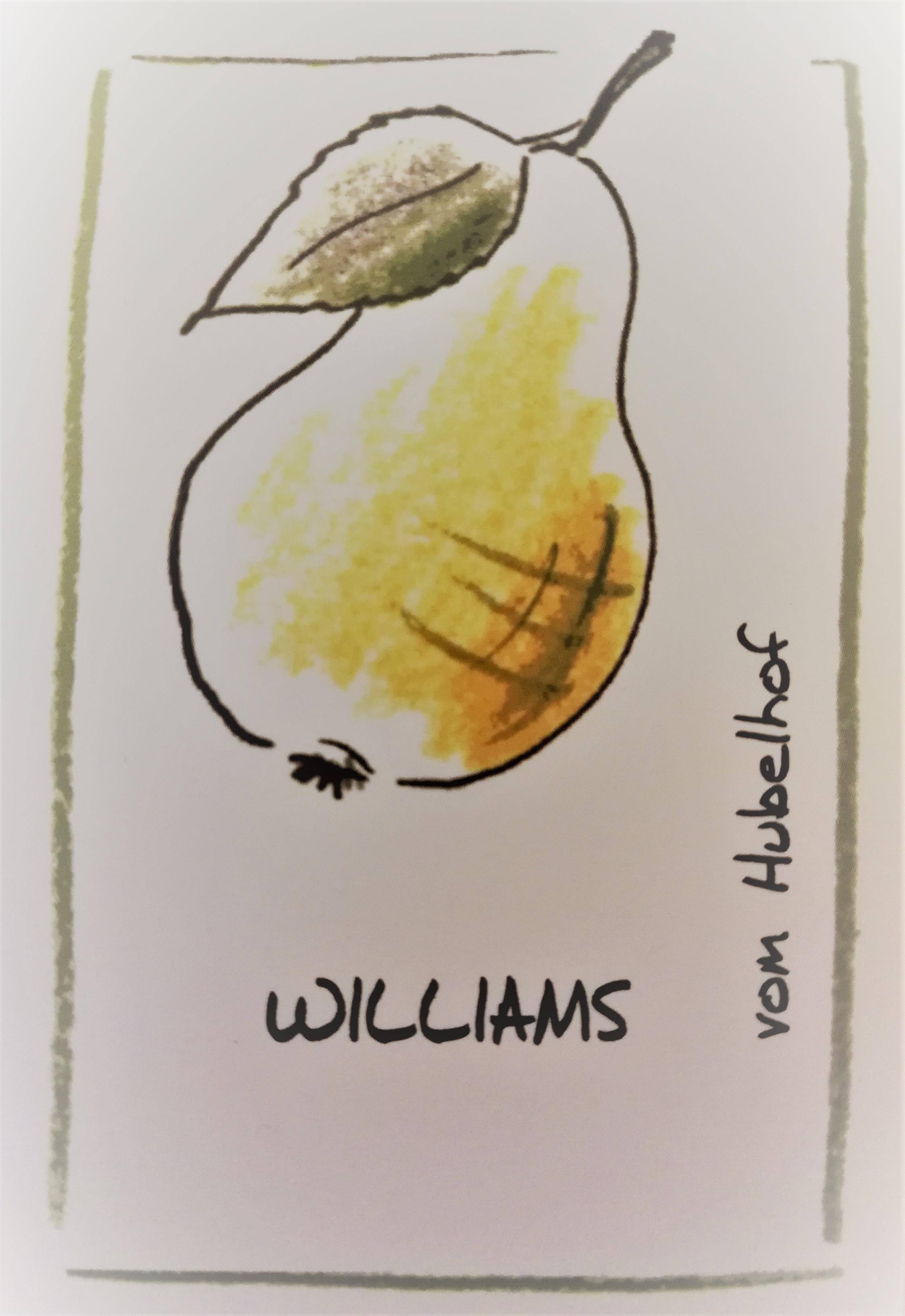 Williams Schnaps Klar