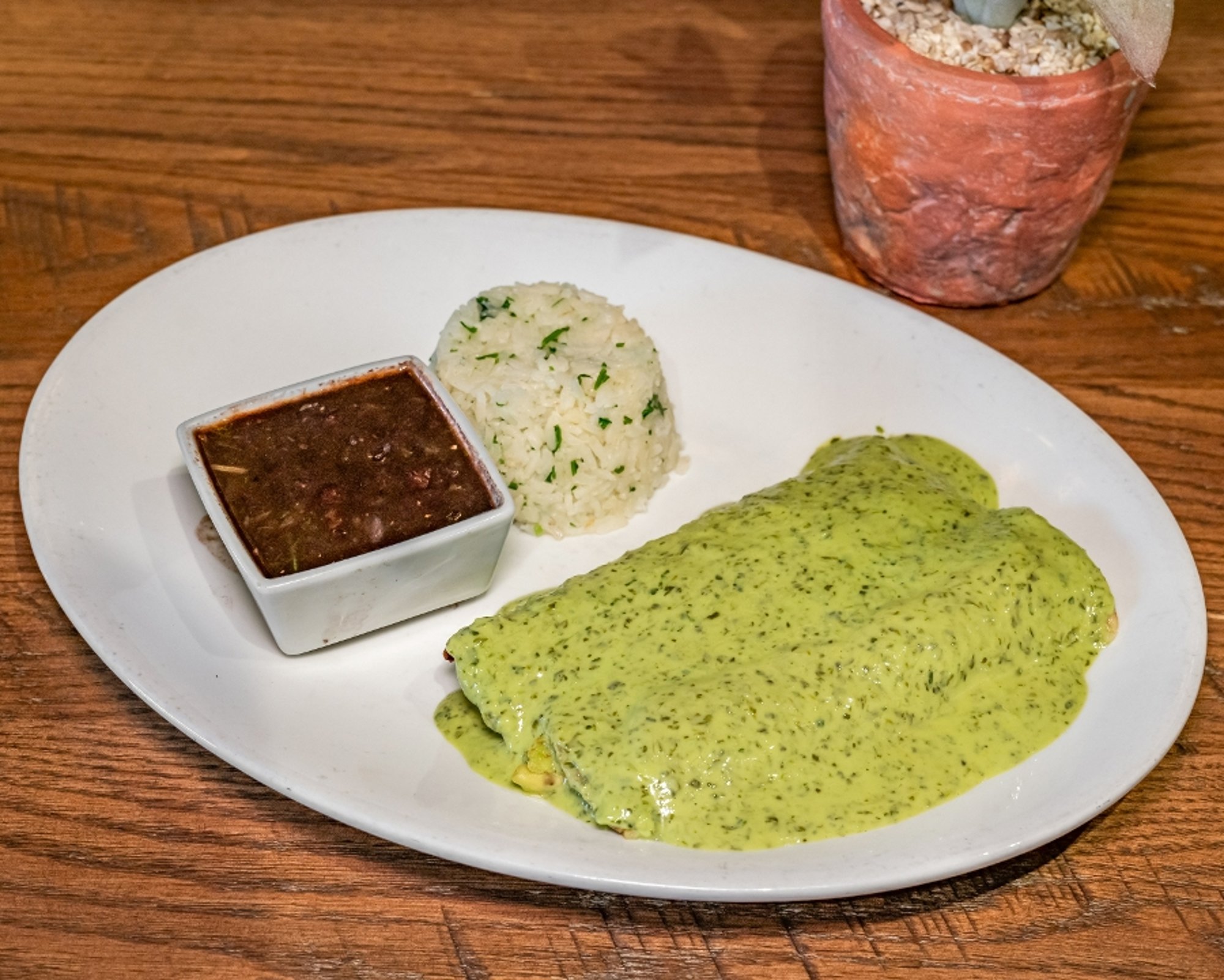 Avocado Enchiladas