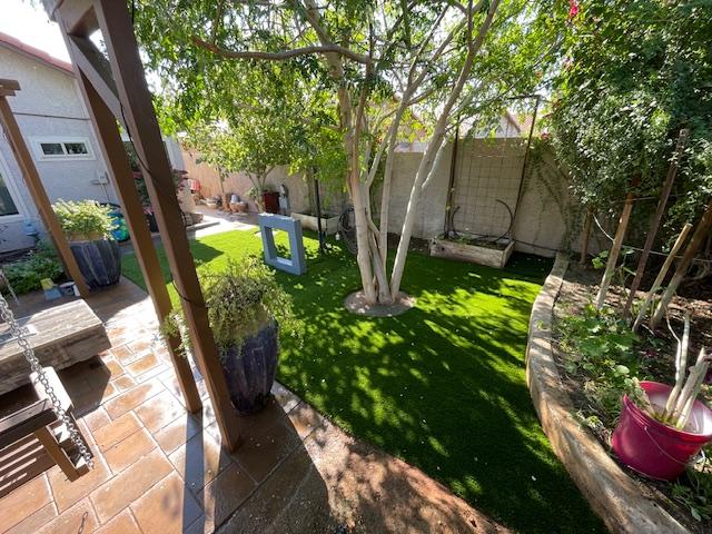 Waterloo Turf Scottsdale Image