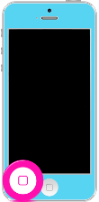 Home Button Flex iPhone 5