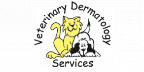 Veterinary Dermatology Services Photo