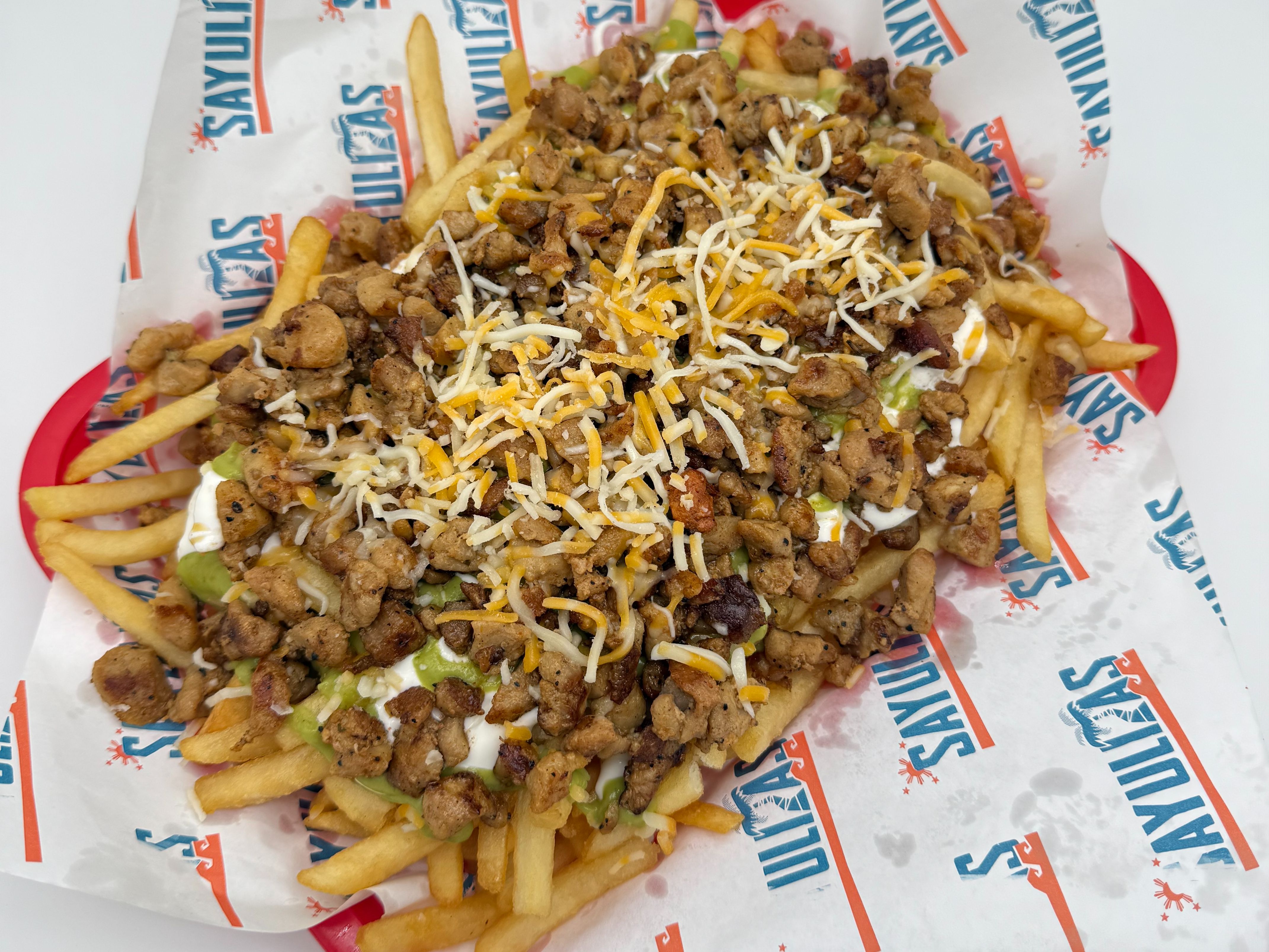 Pollo Asado Fries