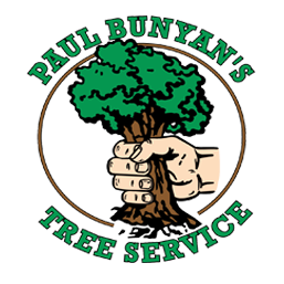 Paul Bunyan's Tree Service Inc Photo