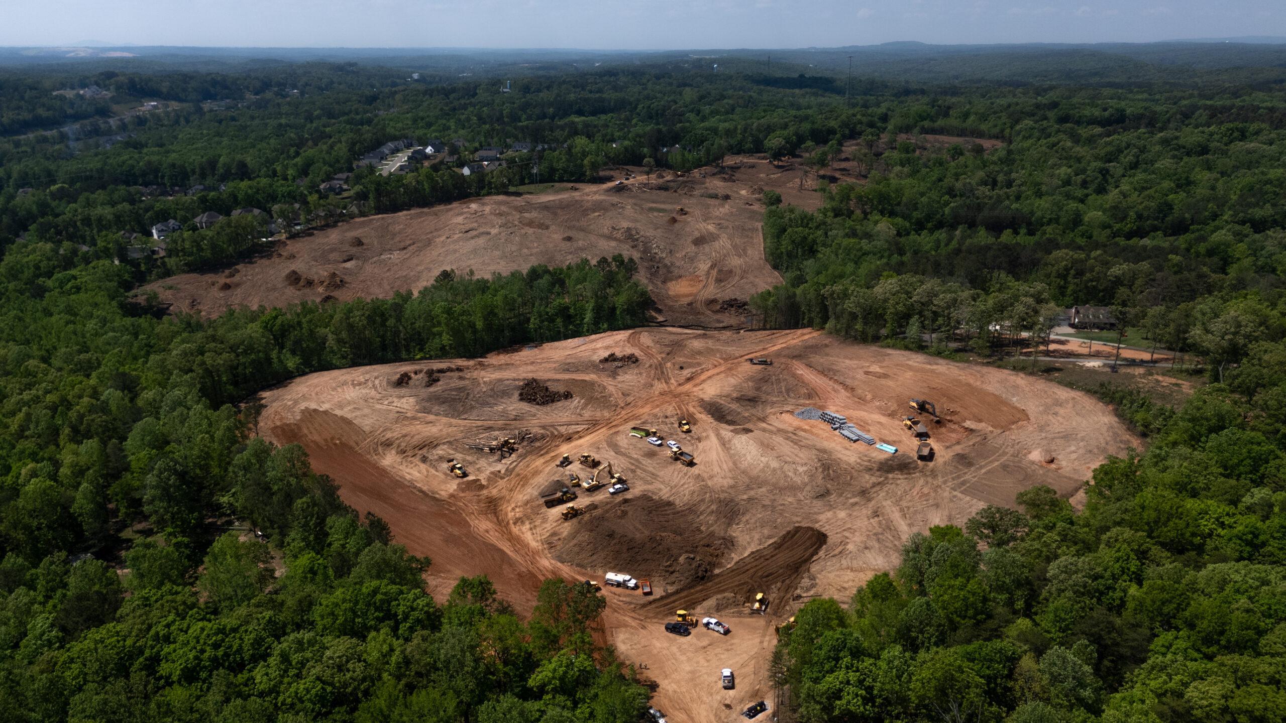 Big Woody's Tree Service Image