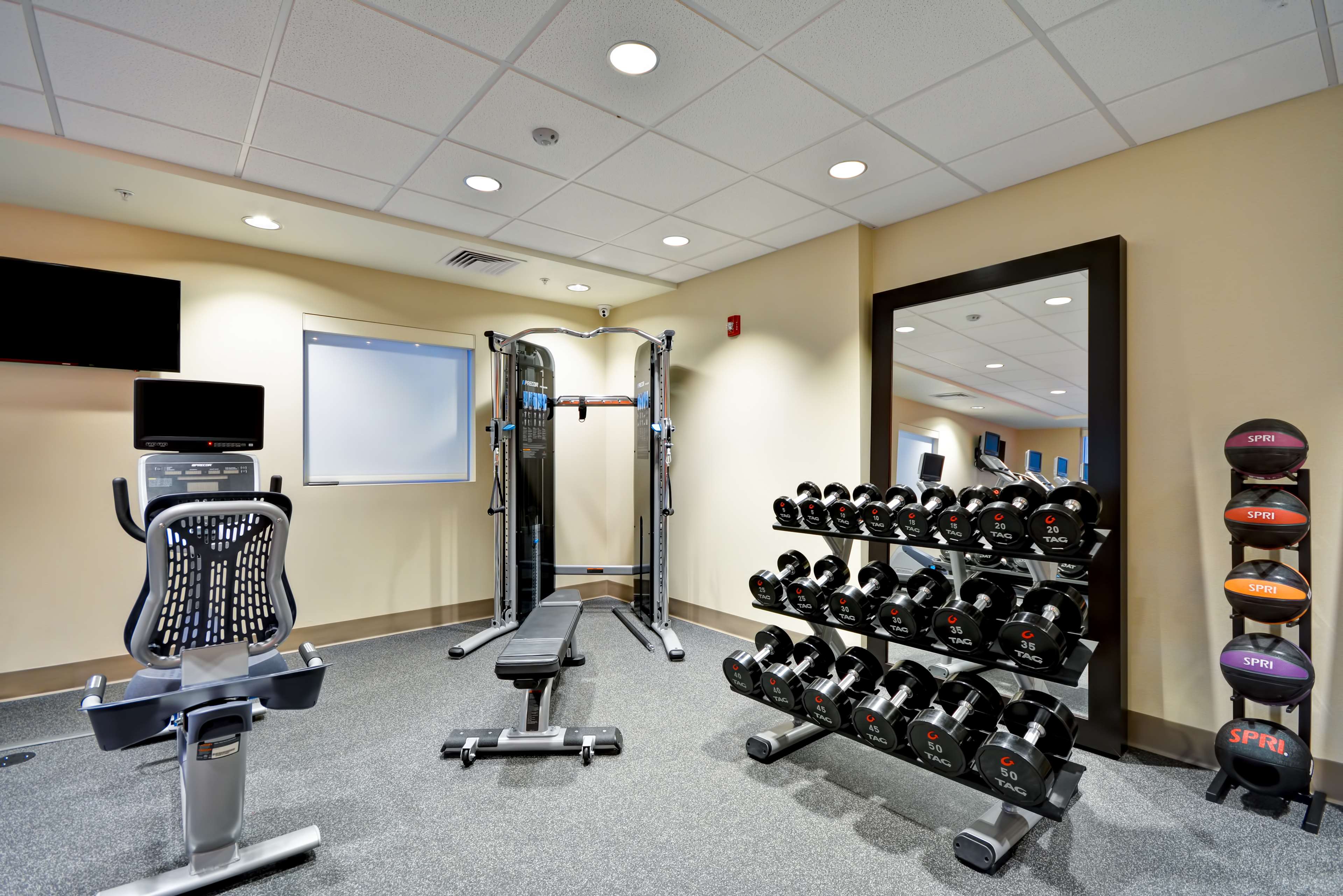 Health club  fitness center  gym
