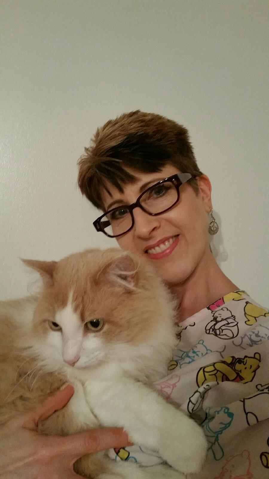 Stephens City Animal Hospital Image