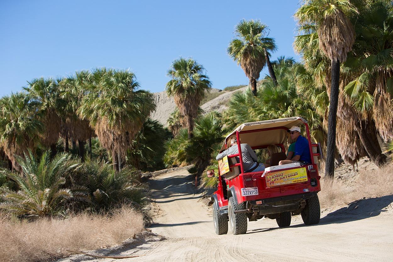 Desert Adventures Photo