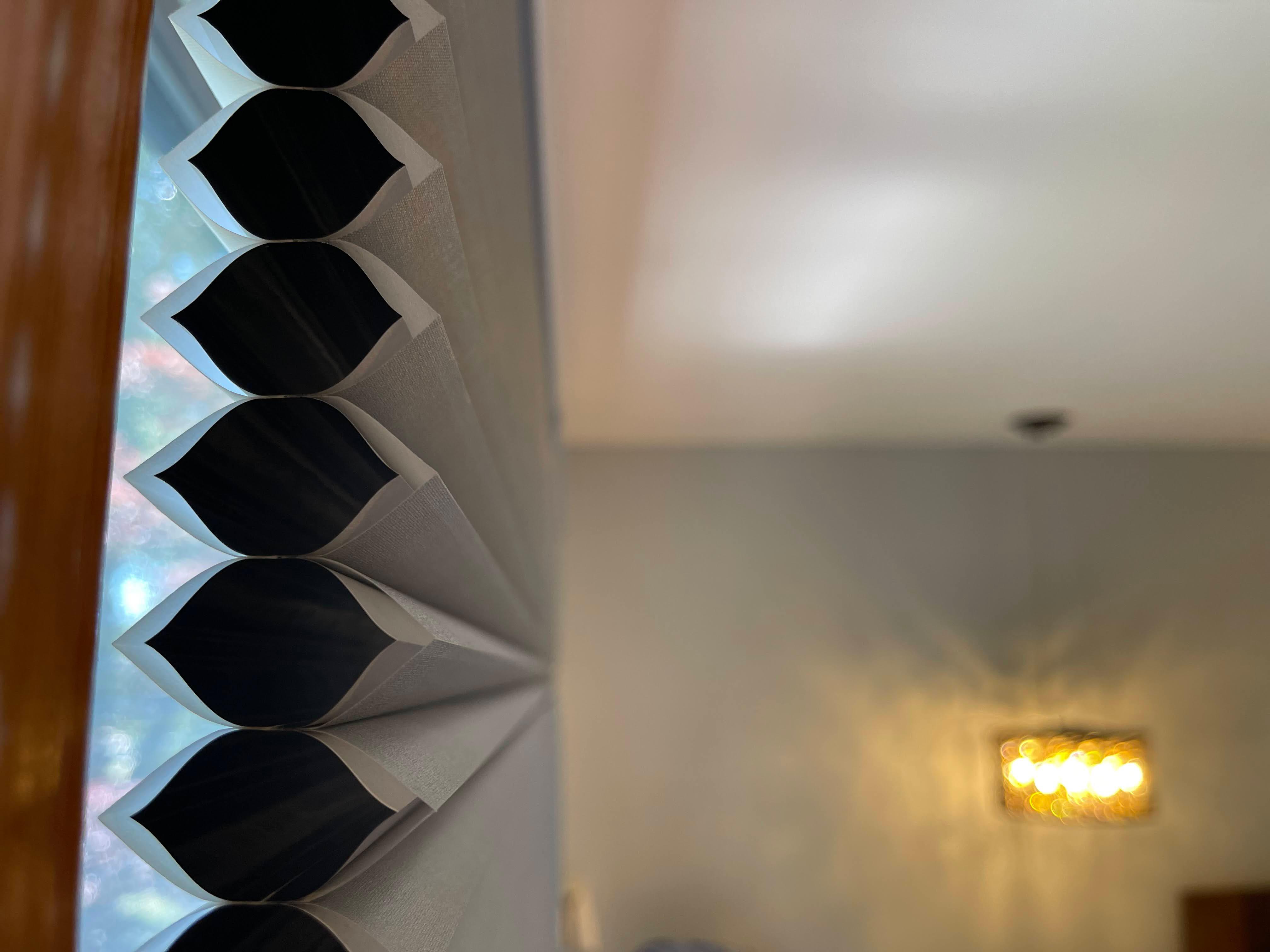 Duette Honeycomb shade from Hunter Douglas