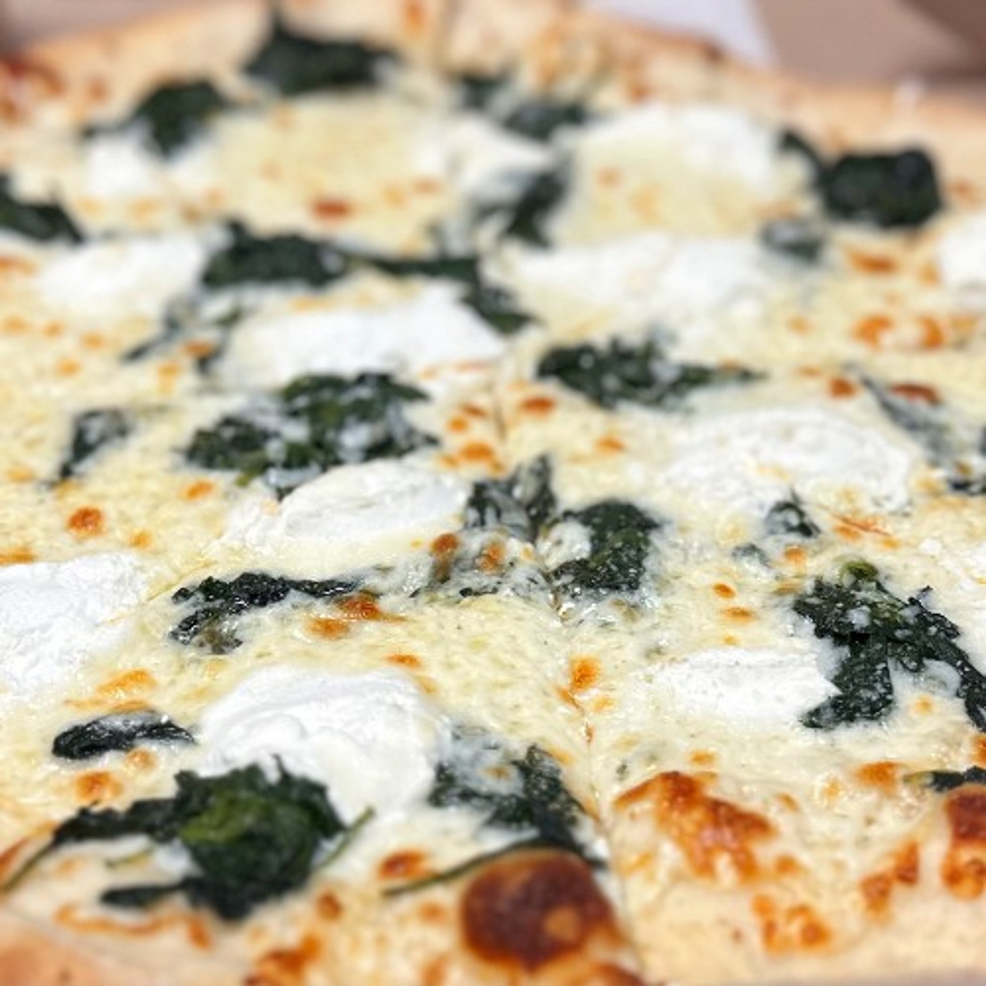 Ricotta Spinach - 12" Medium