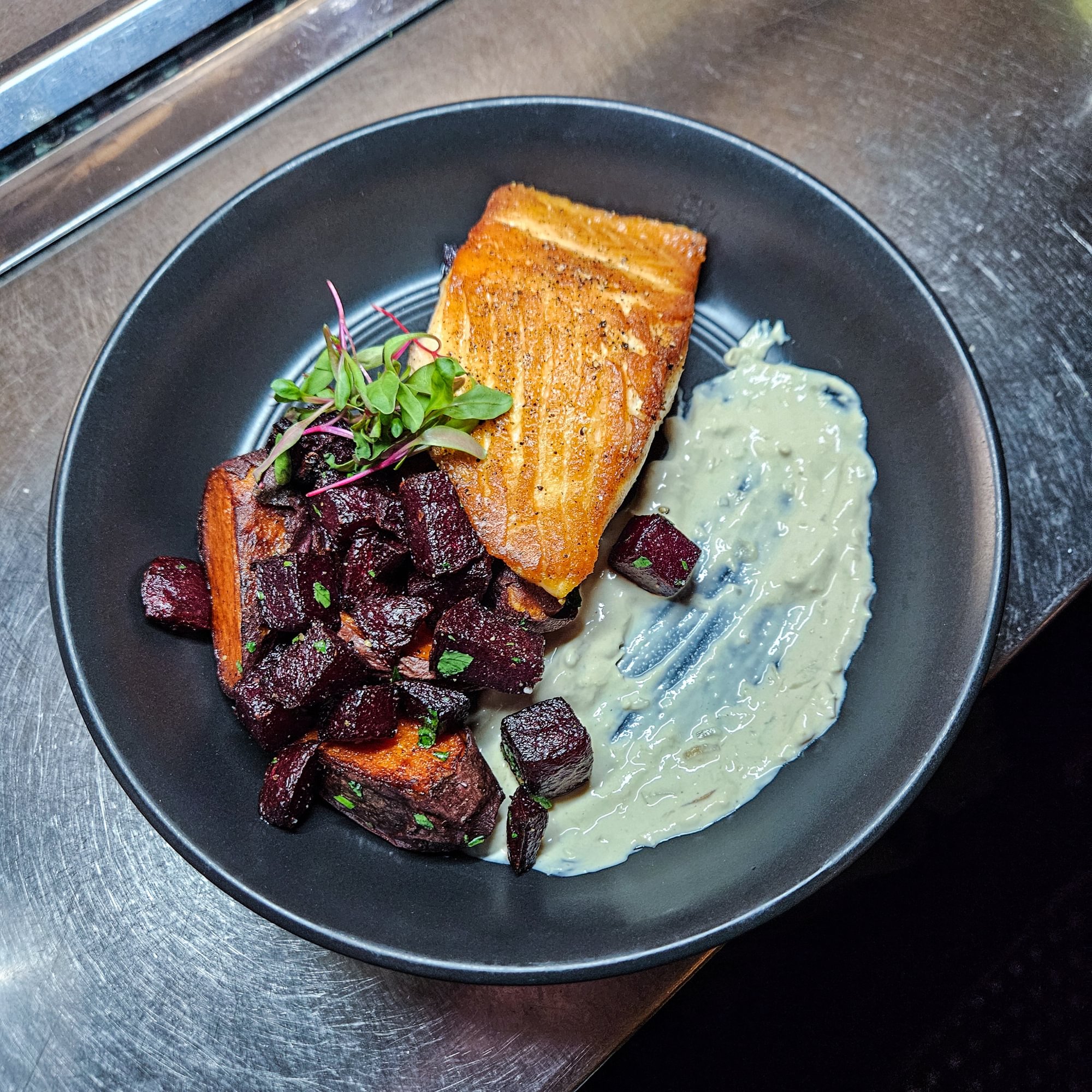 Salmon